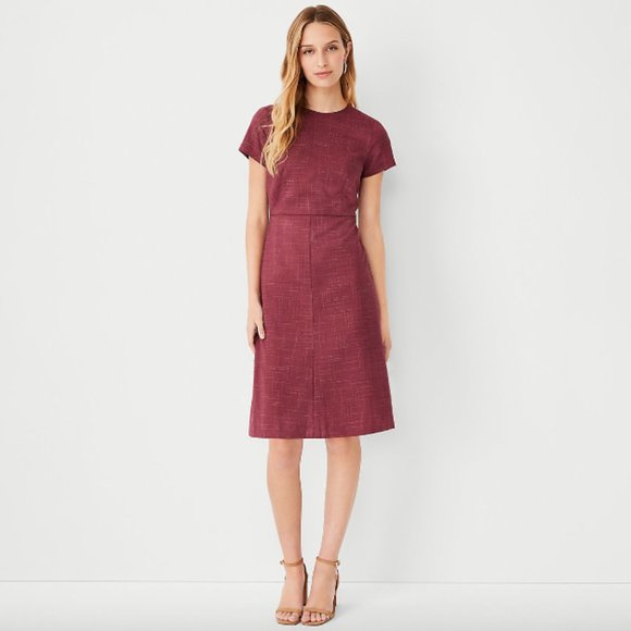 Ann Taylor Dresses & Skirts - Ann Taylor The Petite Flare Dress in Cross Weave Plum Rose Size 8P 8 Petite NWT